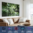 thumbnail image 3 of 8 Pack Art Acoustic Panels Sound Absorbing Ancient Large Trees Forest Scenic Trees Foliage Sunlight Moss Bamboo Soundproof Wall Panels Self Adhesive for Bedroom Home Theater 48"x32", 3 of 7