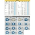 thumbnail image 5 of Daytona Pro Brake Shoe 60272, 5 of 5