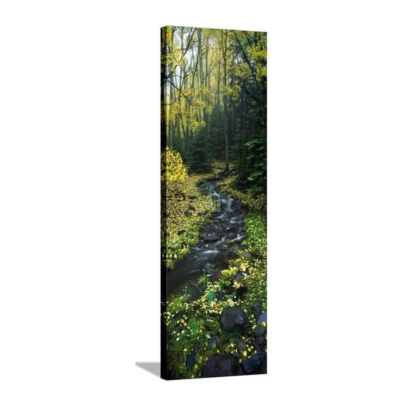 Stream Flowing Through Forest, Scenic Stretched Canvas Wall Art Sold by Art.Com