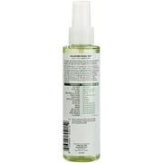 Garnier SkinActive Balancing Facial Mist with Green Tea, 4.4 fl. oz.