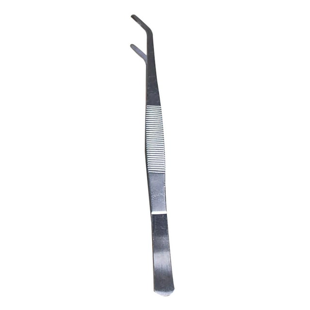 Iumwxz Pinces en Acier Inoxydable Ornements de Mousse Outils de Jardinage DIY Multicolore Acier Inoxydable Ma Commande