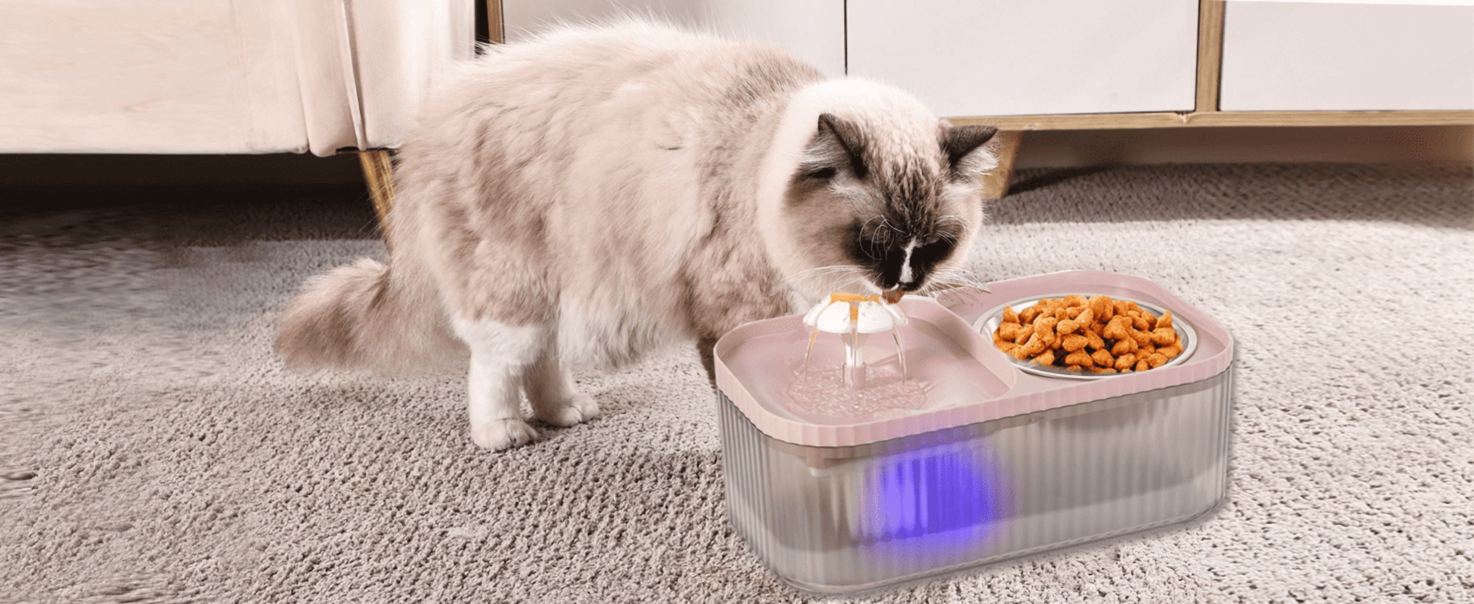Marchul 3L Cat Water Fountain & Food Bowl,Automatic Pet Water Dispenser with Stainless Steel Cat Bowl Set, BPA-Free, 3 Replacement Filters, Pink