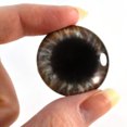 thumbnail image 2 of Wide Brown Round Glass Eyes, 2 of 8