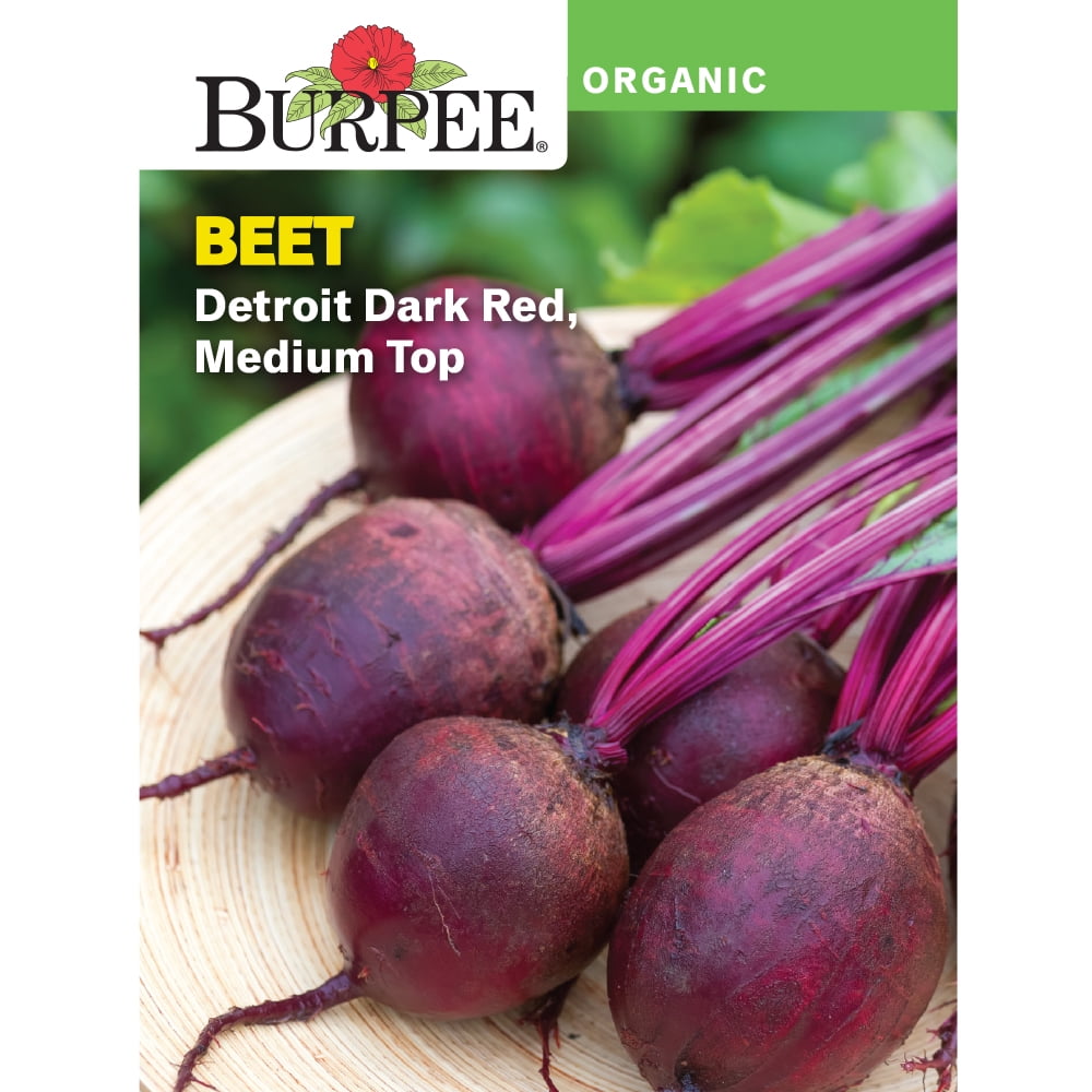 Burpee Organic Medium Top Detroit Dark Red Beet Vegetable Seed, 1pack