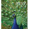 thumbnail image 2 of Living Wild: Peacocks (Paperback), 2 of 3