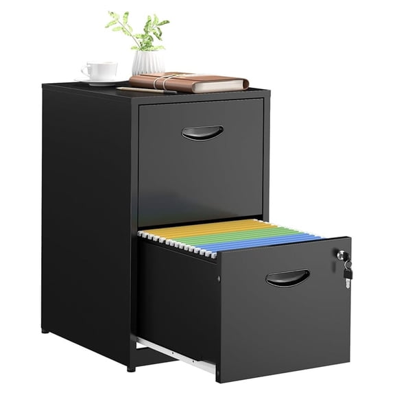 2 Drawer File Cabinets,Metal Office File Cabinet with Lock,Black Filing Cabinets for Home Office,Vertical Modern File Cabinet Office Two Drawers for Hanging Letter,Assembly Required