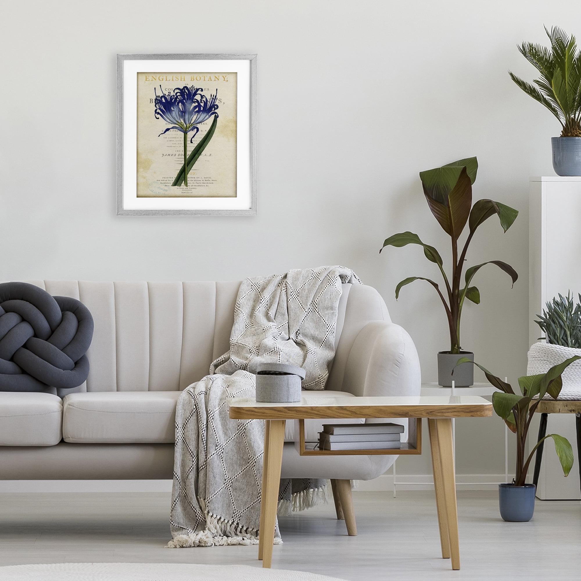 Stupell Industries English Botany Blue Floral Gray Framed Print Under Glass, design by Susan Arnot
