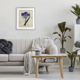 thumbnail image 3 of Stupell Industries Shabby Chic English Botany Blue Floral Gray Framed Print Under Glass, 13 x 16, by Susan Arnot, 3 of 8