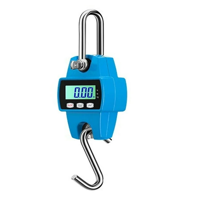 Balance Suspendue Numérique 300 kg, Grue à Poisson Robuste pour la Pêche, Poids des Bagages, Fonctions Multiples
