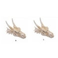thumbnail image 4 of ZheElen Vivid Aquarium Ornament Quick And Easy Fish Farming Solutions Quickly Solving Dragon Skull, 4 of 6