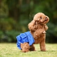 thumbnail image 5 of Couches pour Chiens Réutilisables, Lot de 3 Couches Lavables Ajustables pour Chiens, 5 of 5