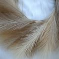 thumbnail image 5 of Artificial Reed Wreath Christmas Decor Pampas Grass Garland Wedding Party Home Door Hanging Decoration Wreath Photography Props (Beige coffee), 5 of 7
