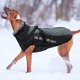 thumbnail image 5 of Abrigo de invierno para perros, chaqueta reflectante impermeable y cálida, chaleco de felpa suave para cachorros, ropa ajustable para perros pequeños, medianos y grandes (XL, gris)., 5 of 5