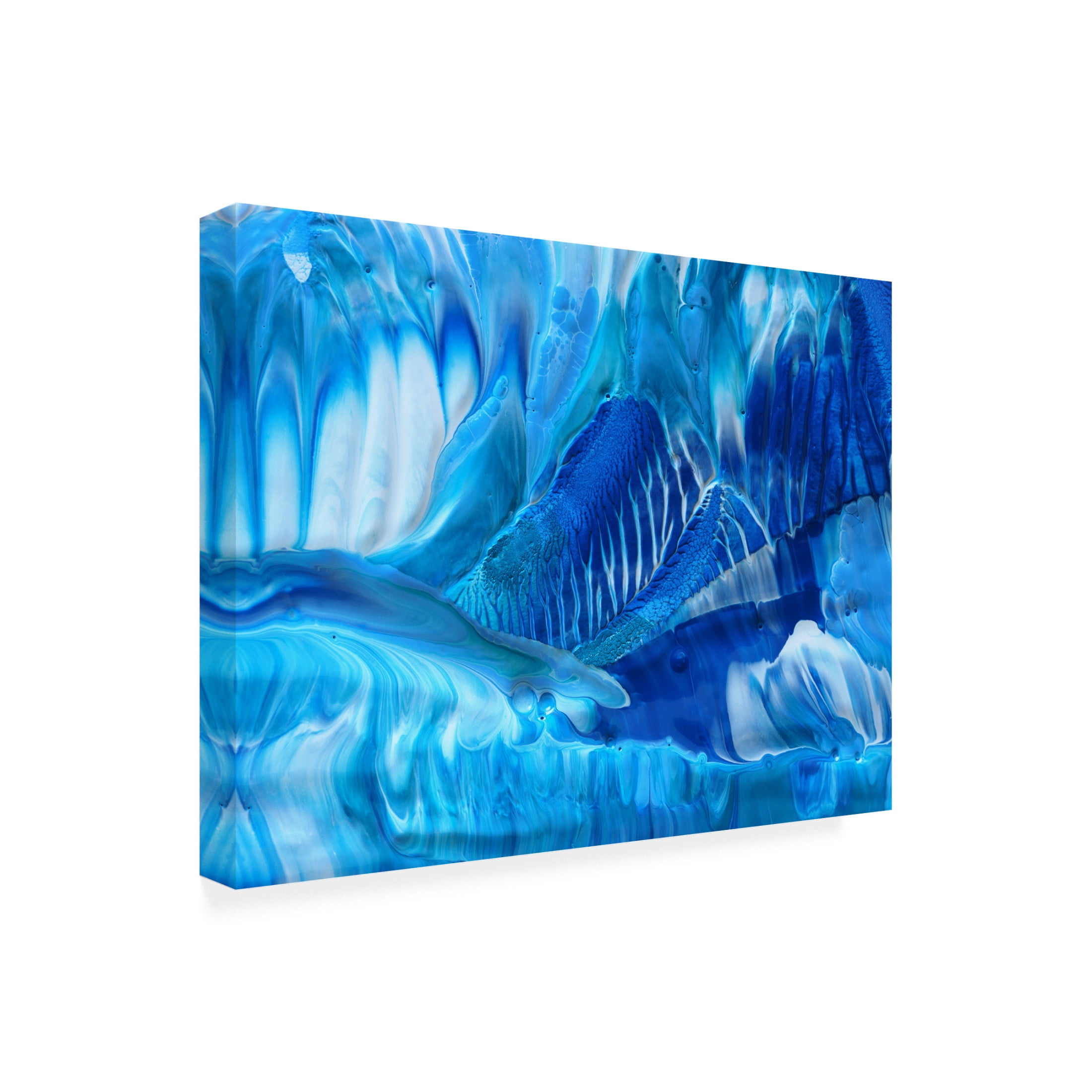 Trademark Fine Art Heidi Westum Ice age Canvas Wall Art