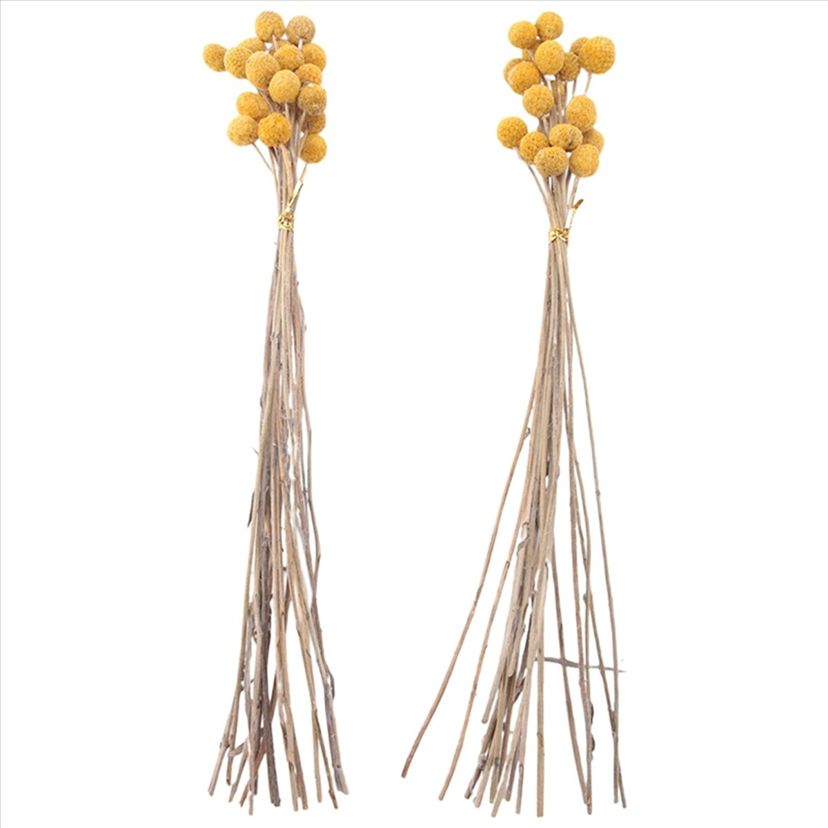 160Pcs Dried Craspedia Flowers Dried Button Balls Flowers,Dried Flower Bouquet for Arrangements Wedding Home Decor