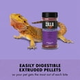 thumbnail image 4 of Zilla Zilla Bearded Dragon Fortified Food 6.5 ounces, 4 of 11
