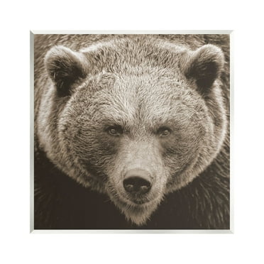 Stupell Industries Brown Bear Wildlife Portrait Animals & Insects Photography Unframed Art Print Wall Art