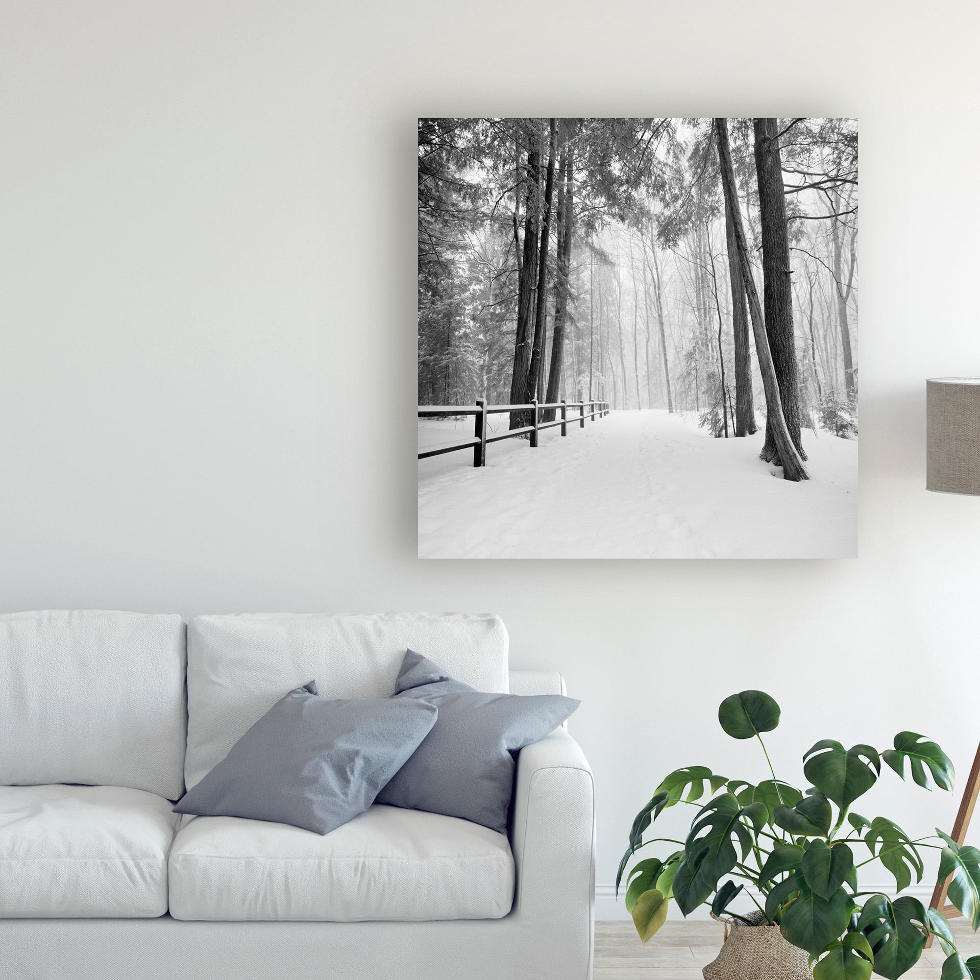 Trademark Fine Art 'Winters Path' Canvas Art by Monte Nagler