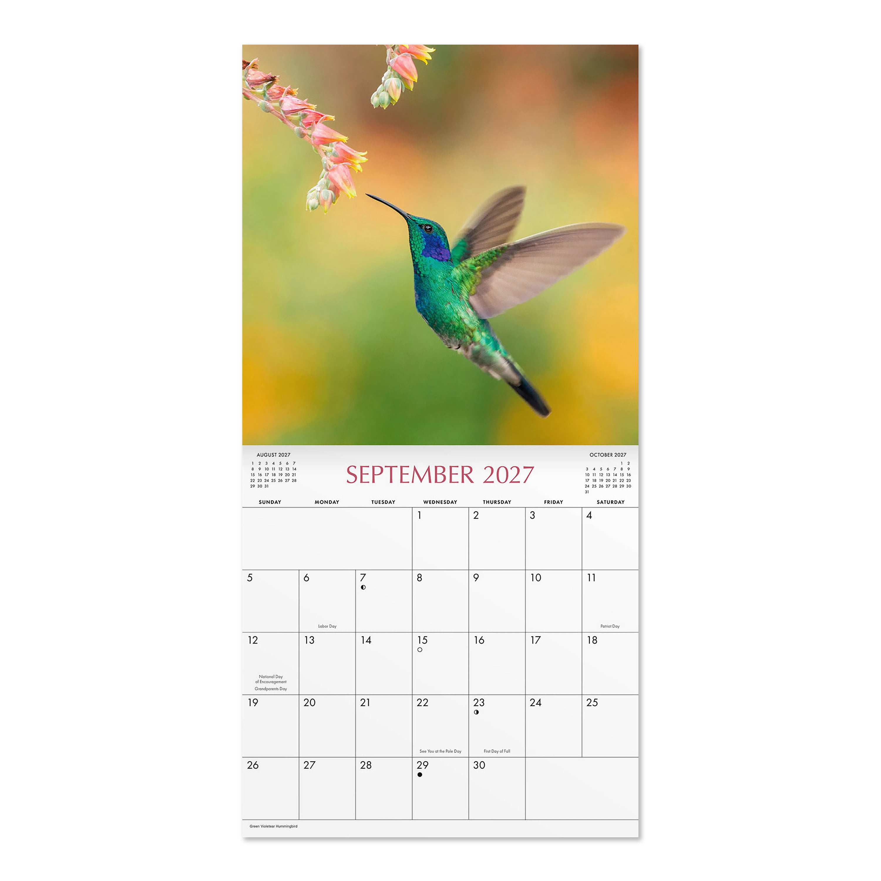 2027 Hummingbirds Hanging Wall Calendar 12x12 January-December Gridded