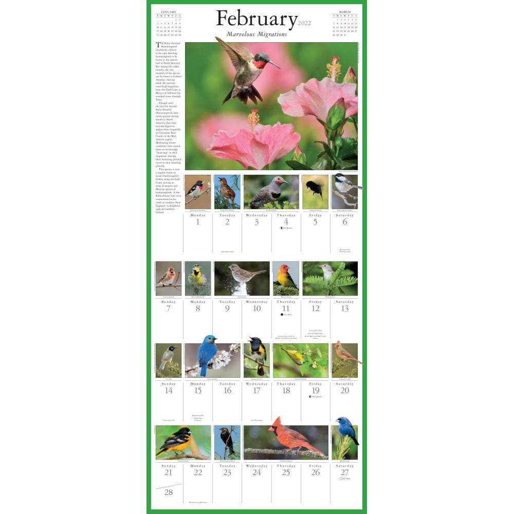 Buy Audubon Songbirds And Other Backyard Birds Picture A Day Wall Calendar 2022 Your Daily