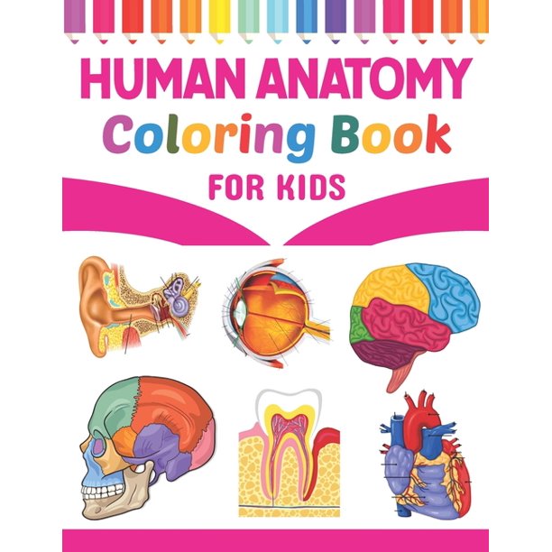 Download Human Anatomy Coloring Book For Kids Human Anatomy And Physiology Coloring Book For Kids New Surprising Magnificent Learning Structure For Human Anatomy Students Human Body Coloring Book For Kids Walmart Com