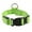 Green, variant on Diceymbol USB Rechargeable LED Dog Collar High Visibility Light-Up Pet Collar with 3 Modes, Waterproof & Adjustable 10-16", Night Safety for Walking/Camping