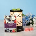 thumbnail image 3 of Wild Berries & Cheesecake Scented Wax Melts, Better Homes & Gardens, 5 oz (Value Size), 3 of 11