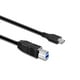 Vantec - Câble USB - USB Type B (M) à 24 Broches USB-C (M) - USB 3.1 - 3.3 ft - Connecteur Moulé Réversible C – image 2 sur 2