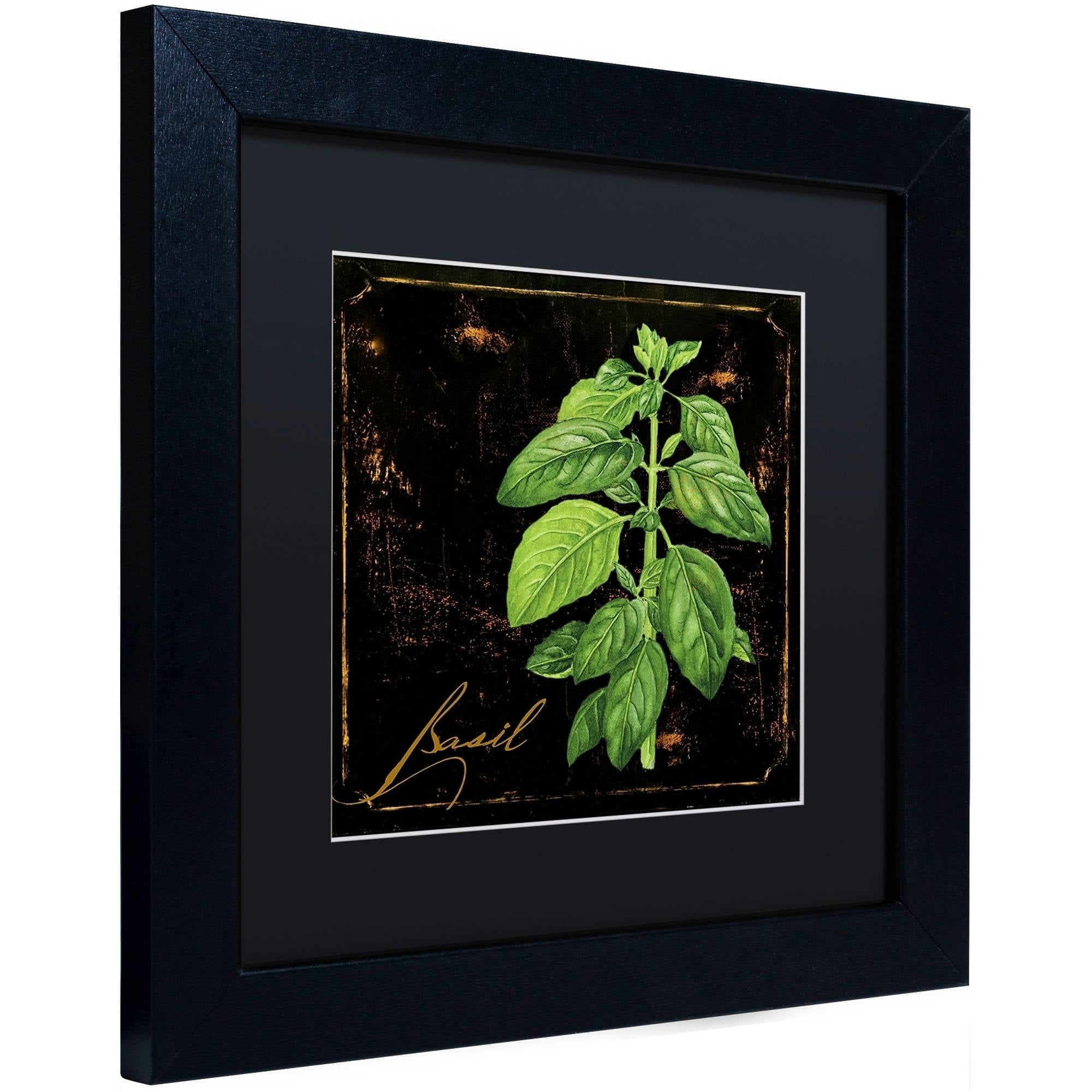 Trademark Fine Art "Black Gold Herbs IV" Canvas Art by Color Bakery Black Matte, Black Frame