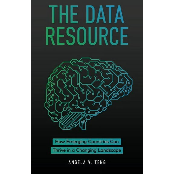 The Data Resource : How Emerging Countries Can Thrive in a Changing Landscape (Paperback)