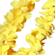 thumbnail image 4 of Pulsera de tiara hawaiana para mujer, guirnalda, boda, vacaciones, verano, playa, orgía, fiesta Adepaton CPB-DE-LYY1020-4, 4 of 5