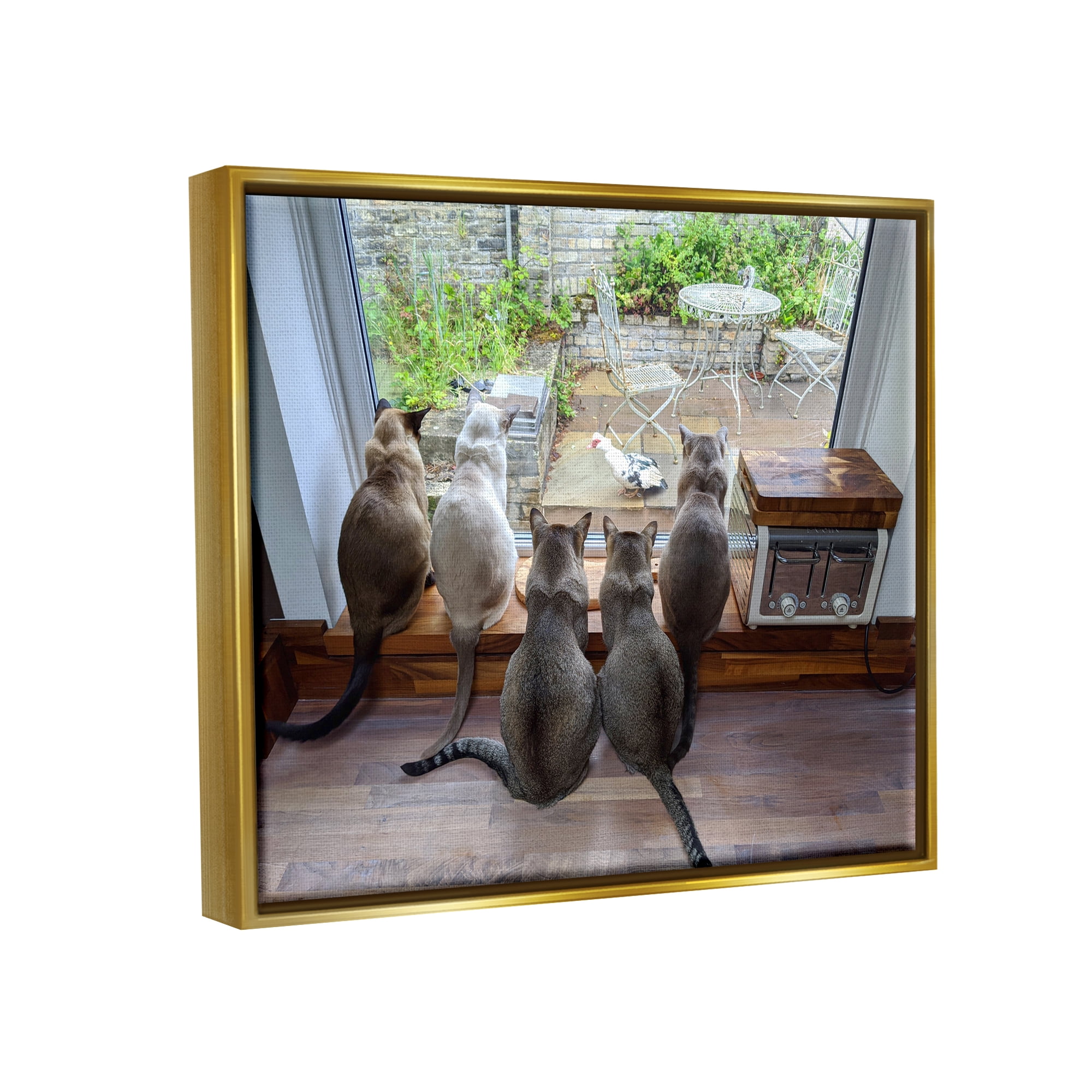 Stupell Industries Cats Watching Bird at Window Animals & Insects Photography Gold Floater Framed Canvas Art Print Wall Art, 31 x 25