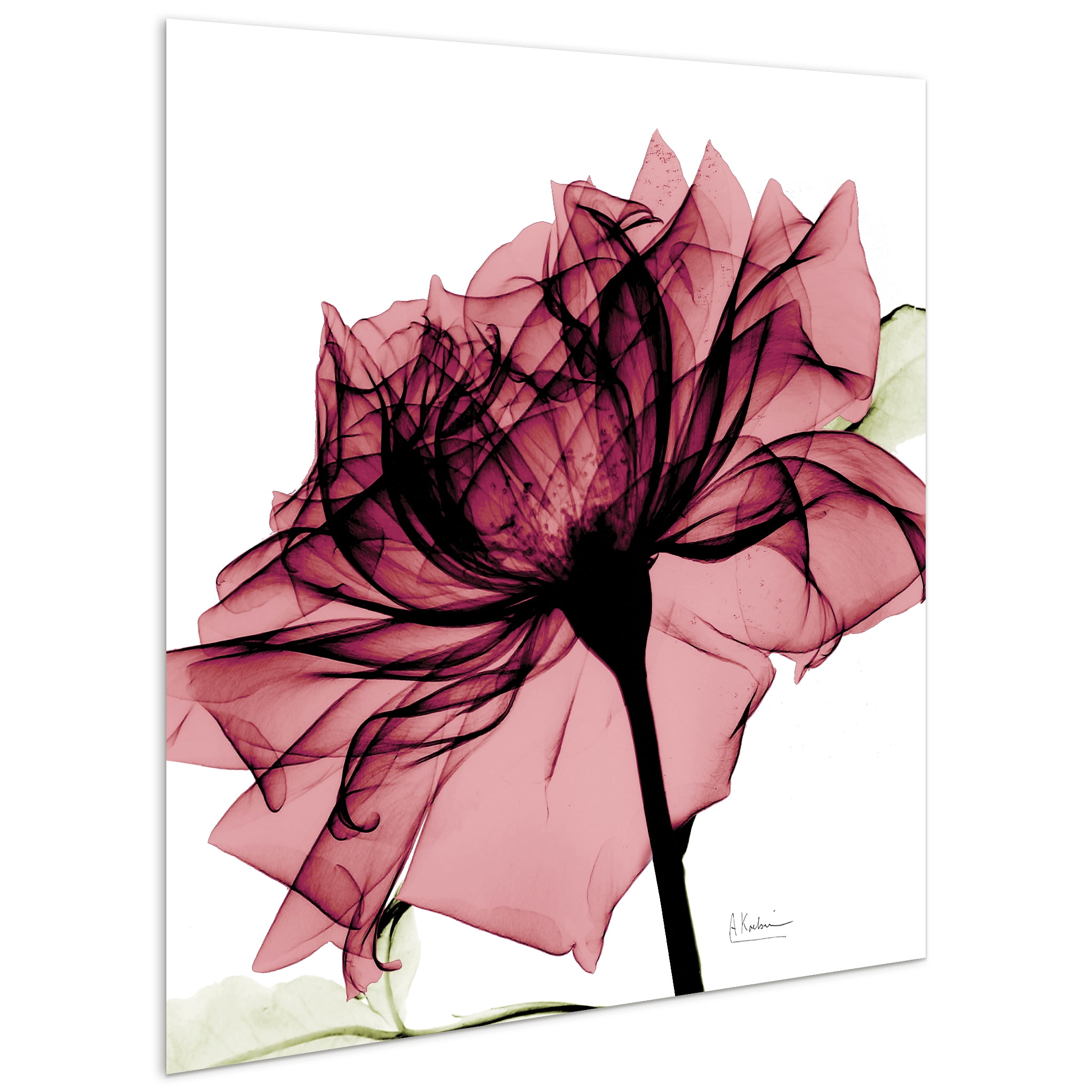 Empire Art Direct Chianti Rose I & II Frameless Free Floating Tempered Glass Panel Graphic Wall Art, 24" x 24" each, Ready to Hang