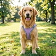 thumbnail image 5 of Durable Dog Harness and Leash Set for Walking, Step in Vest Harness with Reflective Bands for Small Dogs and House Cats Purple XXS, 5 of 5