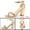 Rose Gold, variant on Allegra K Women's Sandals Block Heels Ankle Strap Sandals Rose Gold 8.5