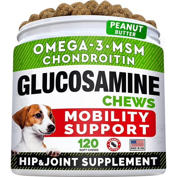 Glucosamine Chondroitin Msm Dogs