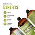 thumbnail image 3 of Aceite esencial Lab Bulks Eucalyptus 473 ml (16 oz) para difusores, 3 of 9