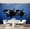 Color 1, variant on Wall Mural Peel and Stick Sunset Lighthouse Peggy s Cove Halifax Nova Scotia Self-Adhesive Wallpaper Removable Wall Decal Wall Sticker Home Decor for Living Room Bedroom 69"x96"