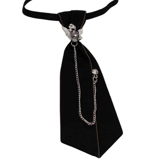 CSChome Cravate pour Garçons Cravate pour Garçons Ruban de Décoration de Bijoux Chaîne Réglable Cravate d'Uniforme Scolaire