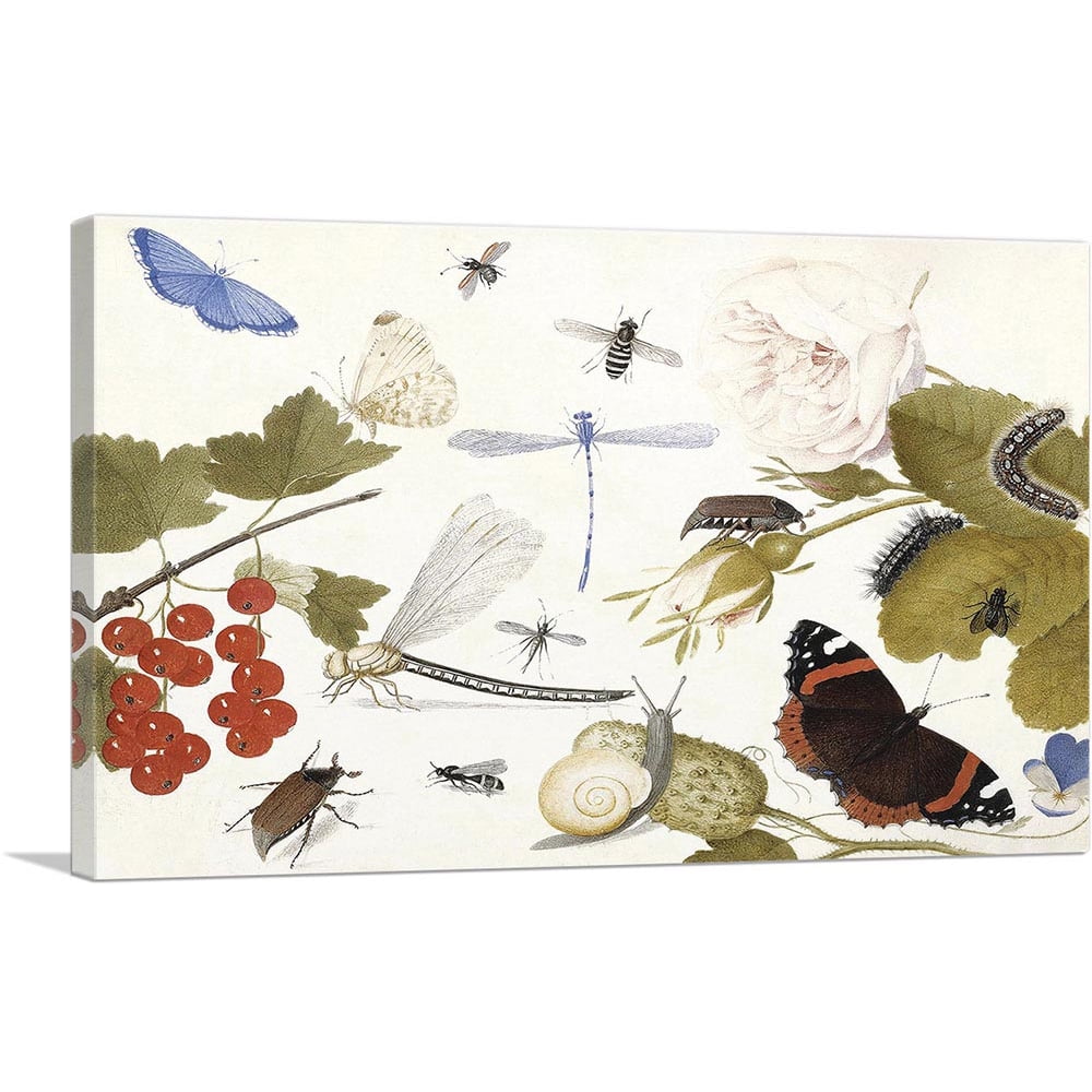 ARTCANVAS Still Life Of Insects With Fruit And Flowers Canvas Art Print ...