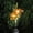 E, variant on Lily Of The Valley Solar Flower Lights - 1pc Mother's Day Outdoor Garden Decorations for Patio, Yard, Landscape, Pathway, and Lawn