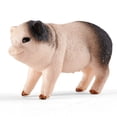 thumbnail image 3 of Juego de figuras de juguete Divwa Baby Plastic Farm Animal, 10 unidades, 3 a 5, 3 of 6