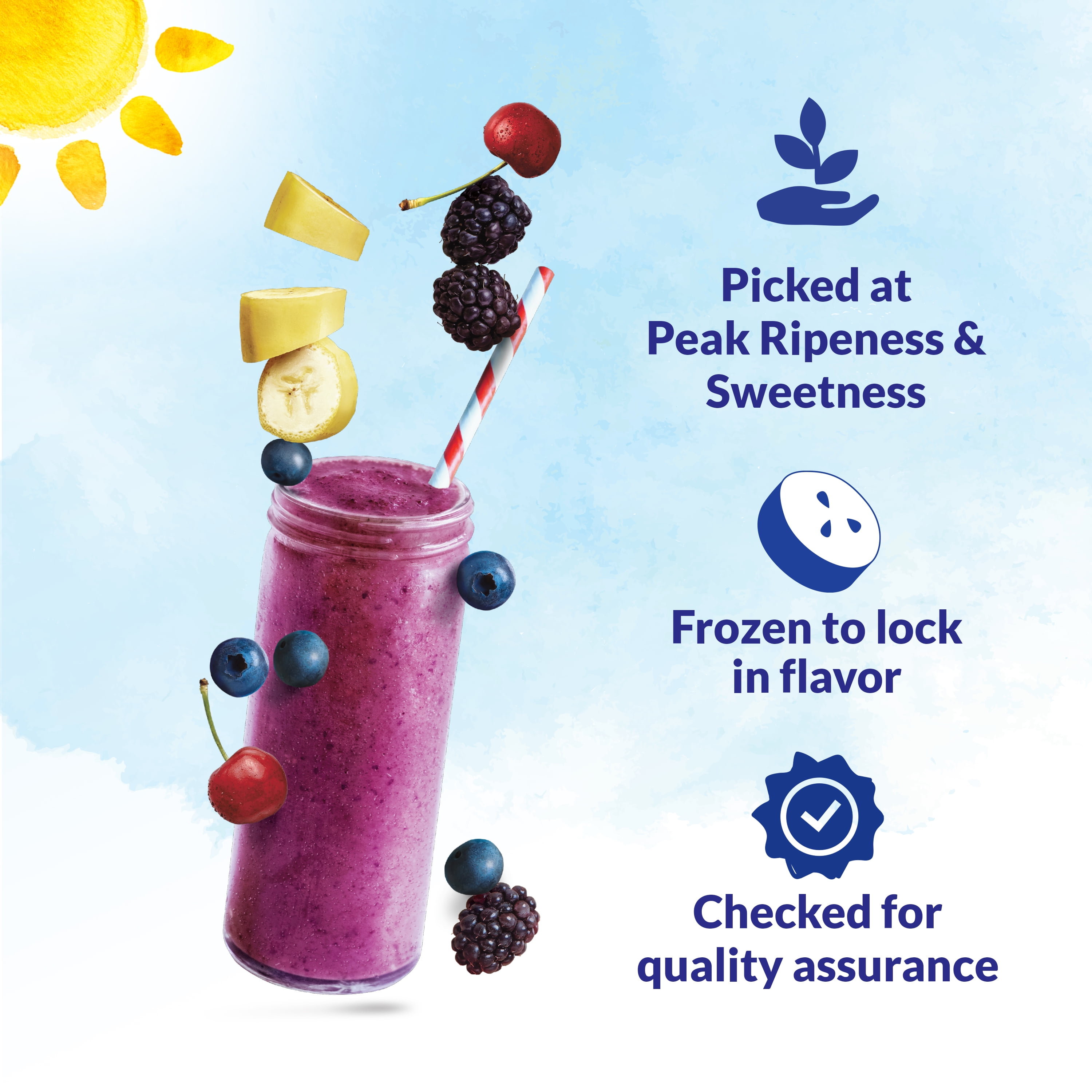 Dole Boosted Blends Frozen Blueberry and Banana Protein Smoothie Blend, 32  oz Bag