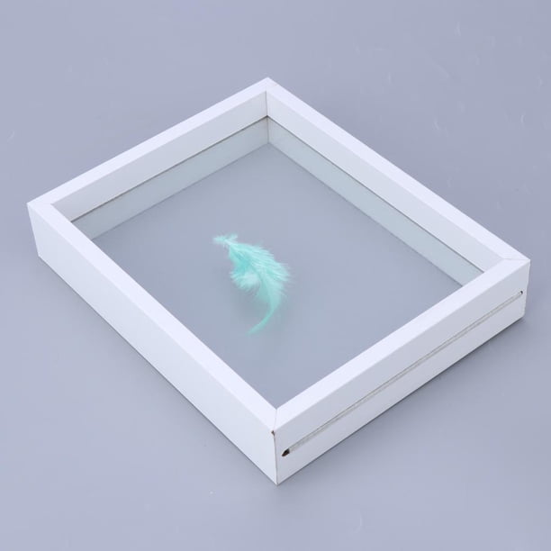 fotografía de de Espécimen de Planta Clásica, fotografía de dos cara para Flores, de Exhibición de Hojas Blanco Fernando marco de fotos de madera