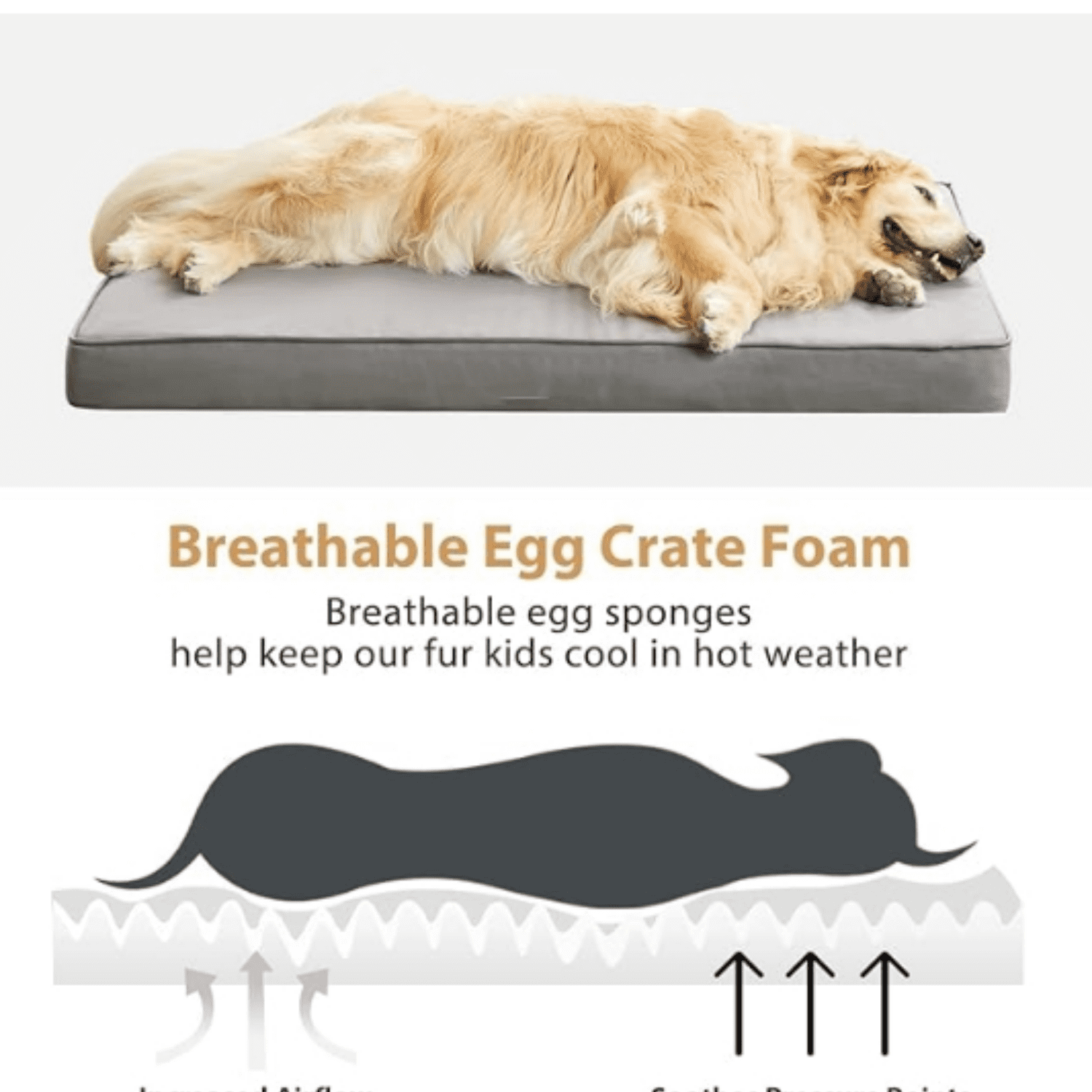 Outdoor Dog Beds for Large Dogs, Waterproof Dog Bed for Medium, Large, Extra Large Dogs, Orthopedic Pet Bed with Removable Washable Cover, Egg Crate Foam Pet Bed Mat. (36 x 27 in, Grey)