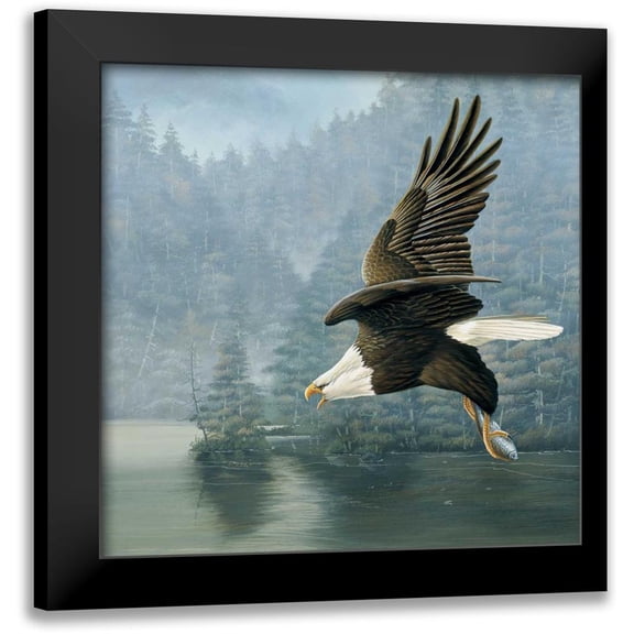 Weenink, Jan 12x12 Black Modern Framed Museum Art Print Titled - Flying eagle