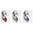 thumbnail image 3 of Rahim, Ellie 24x12 Black Modern Framed Museum Art Print Titled - Three Faces Of Marilyn, 3 of 5