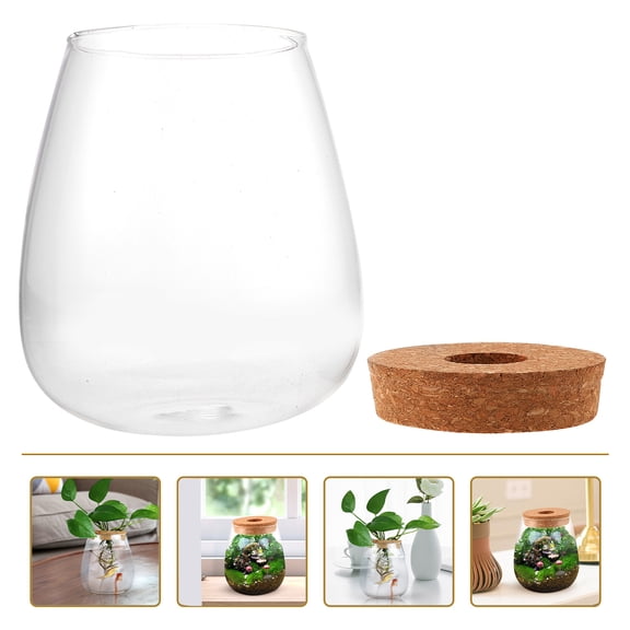 Glass DIY Bryophyte Container Moss Ecological Bottle Hydroponic Plant Terrarium