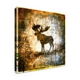 thumbnail image 4 of LightBoxJournal 'High Country Moose' Canvas Art, 4 of 4