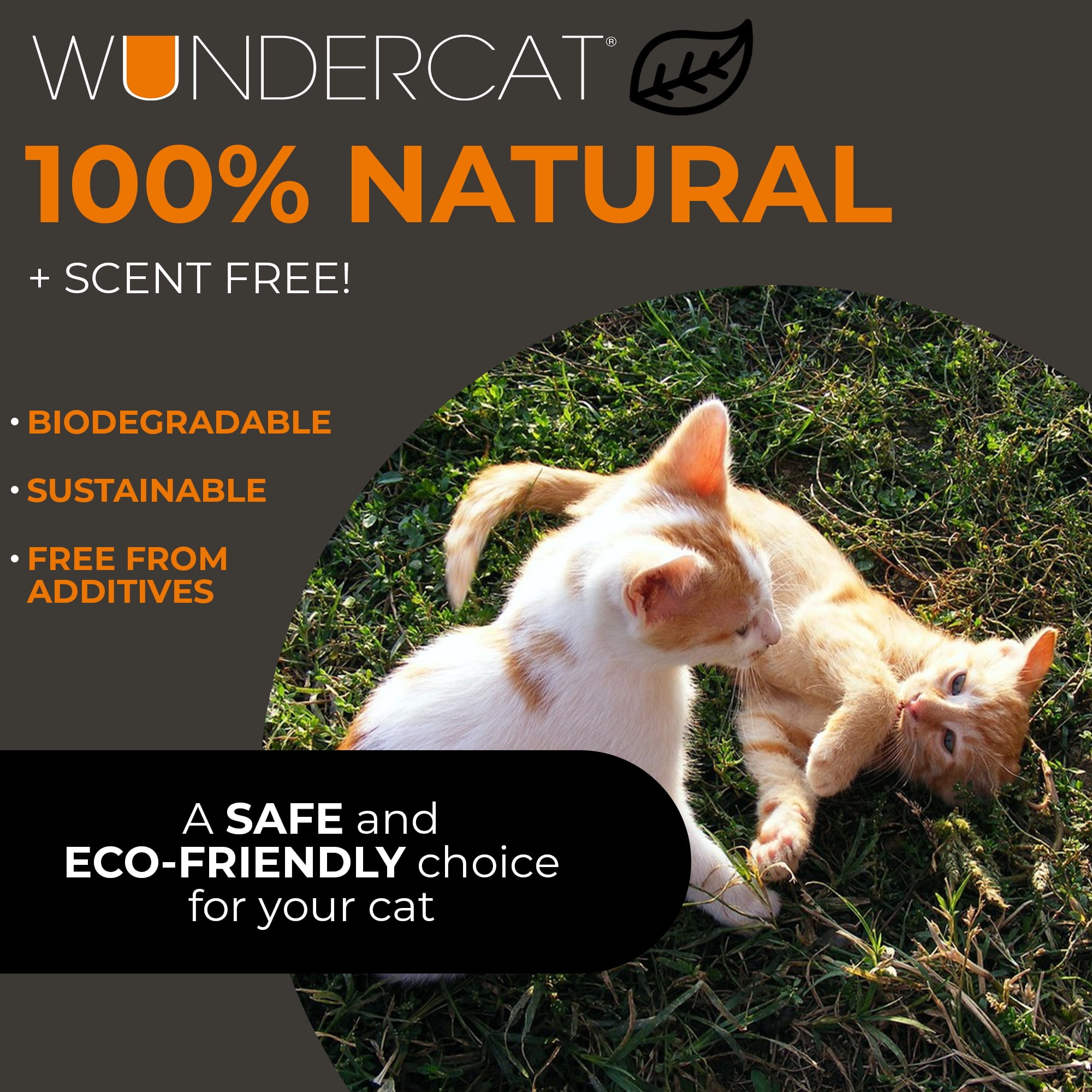 Progressive Planet Wundercat Non-Clumping Cat Litter, 22lbs - Lightweight & Food-Grade Diatomaceous Earth Litter - Superior Moisture & Odor Absorption - Low-Tracking